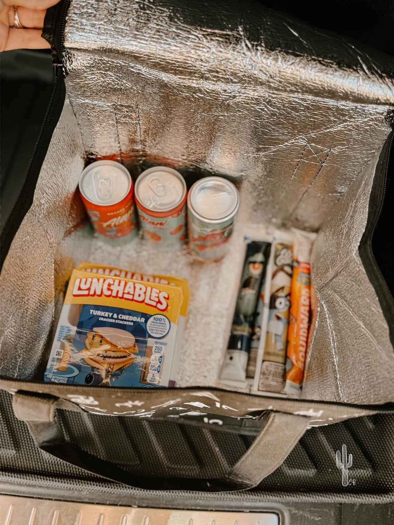 Insulated Grocery Totes