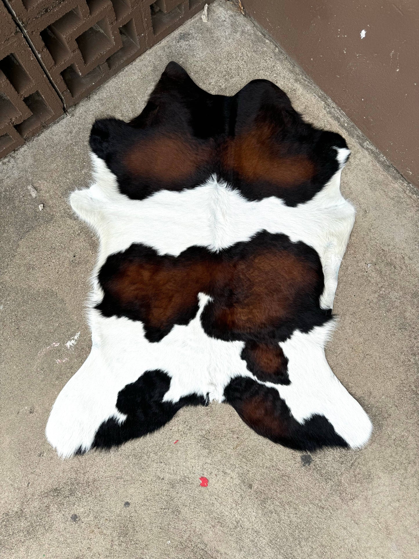 Howdy Calf Hides